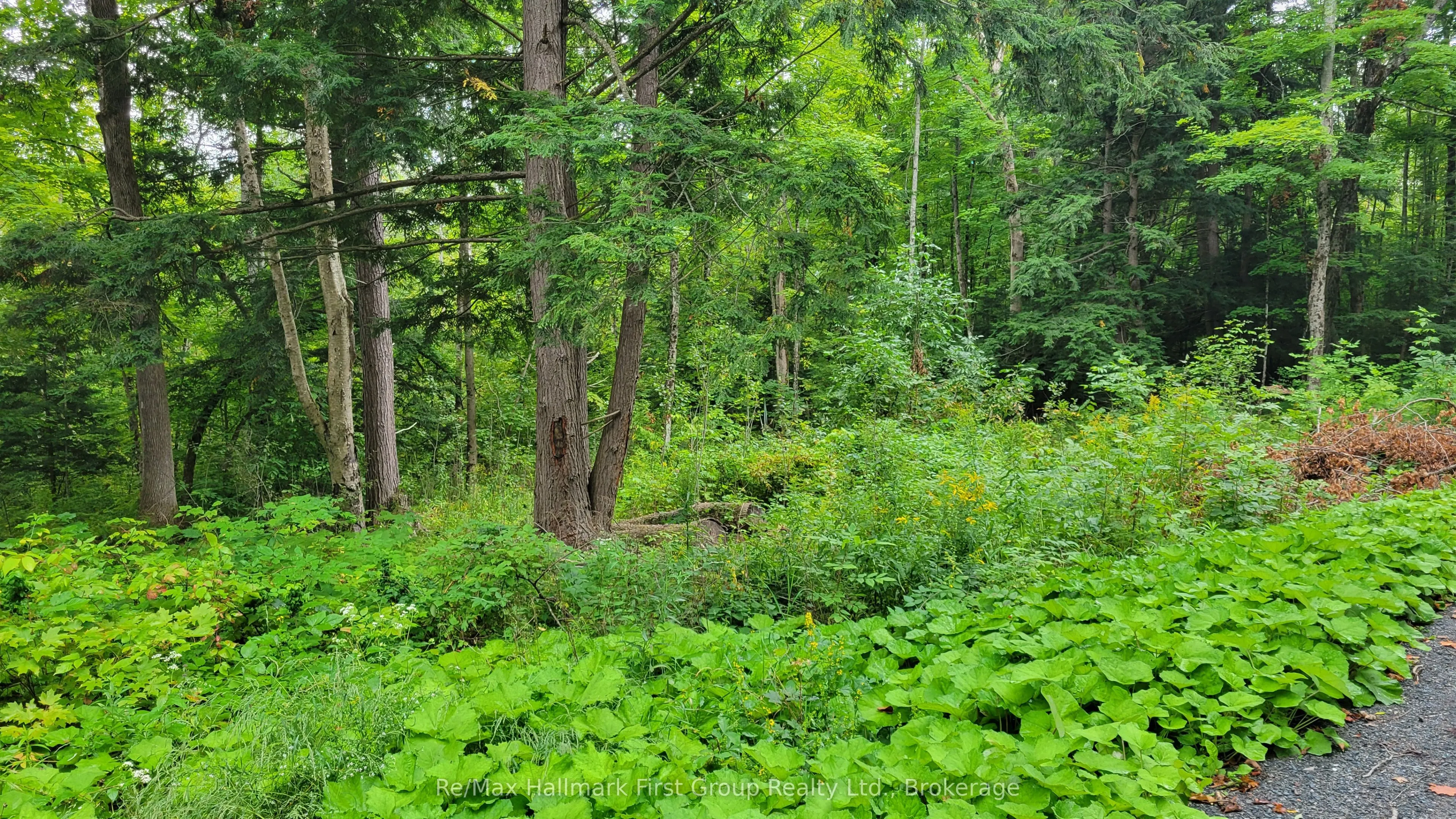Vacant Land For Sale | X13731520