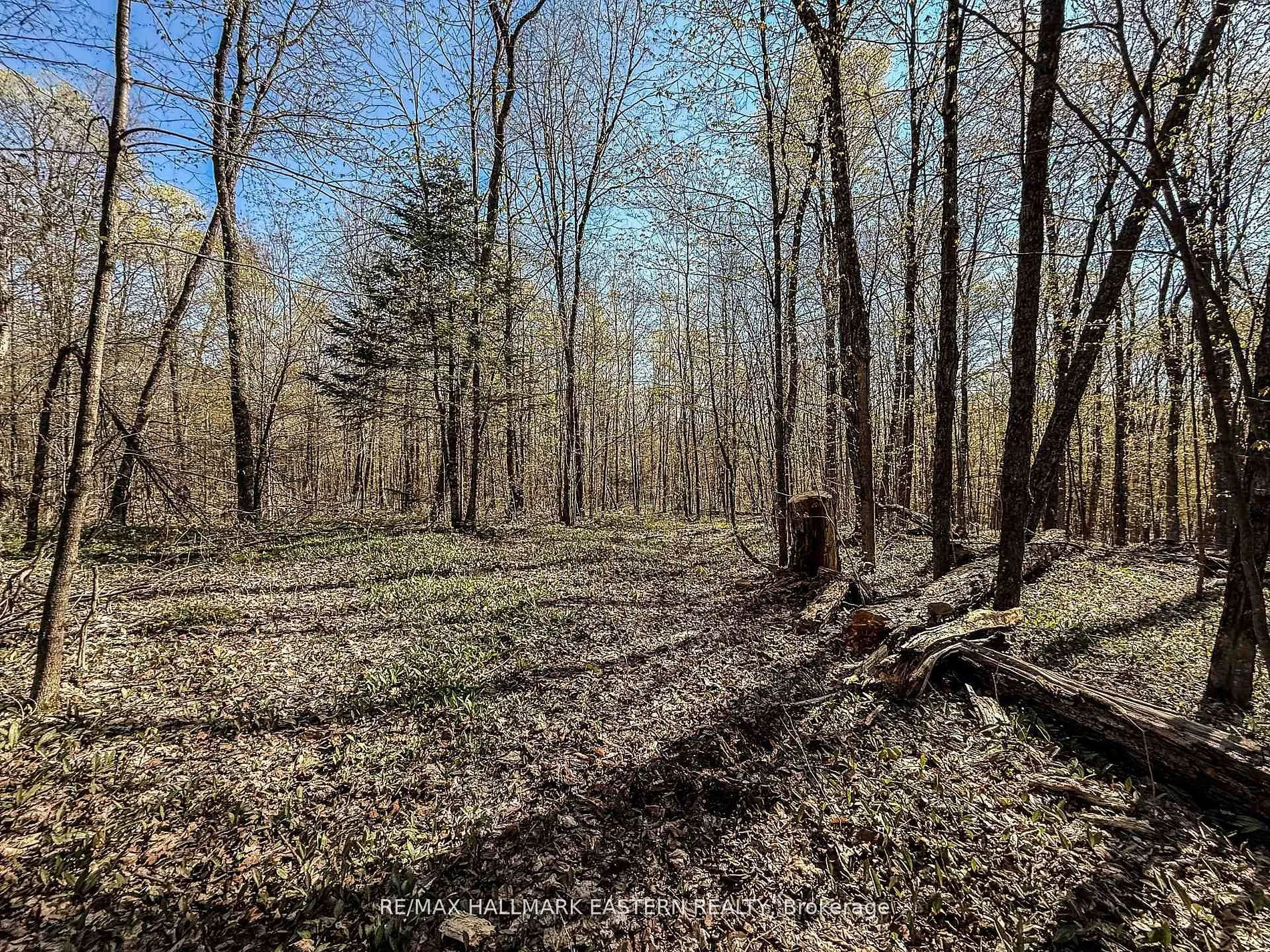 Vacant Land For Sale | X13735654