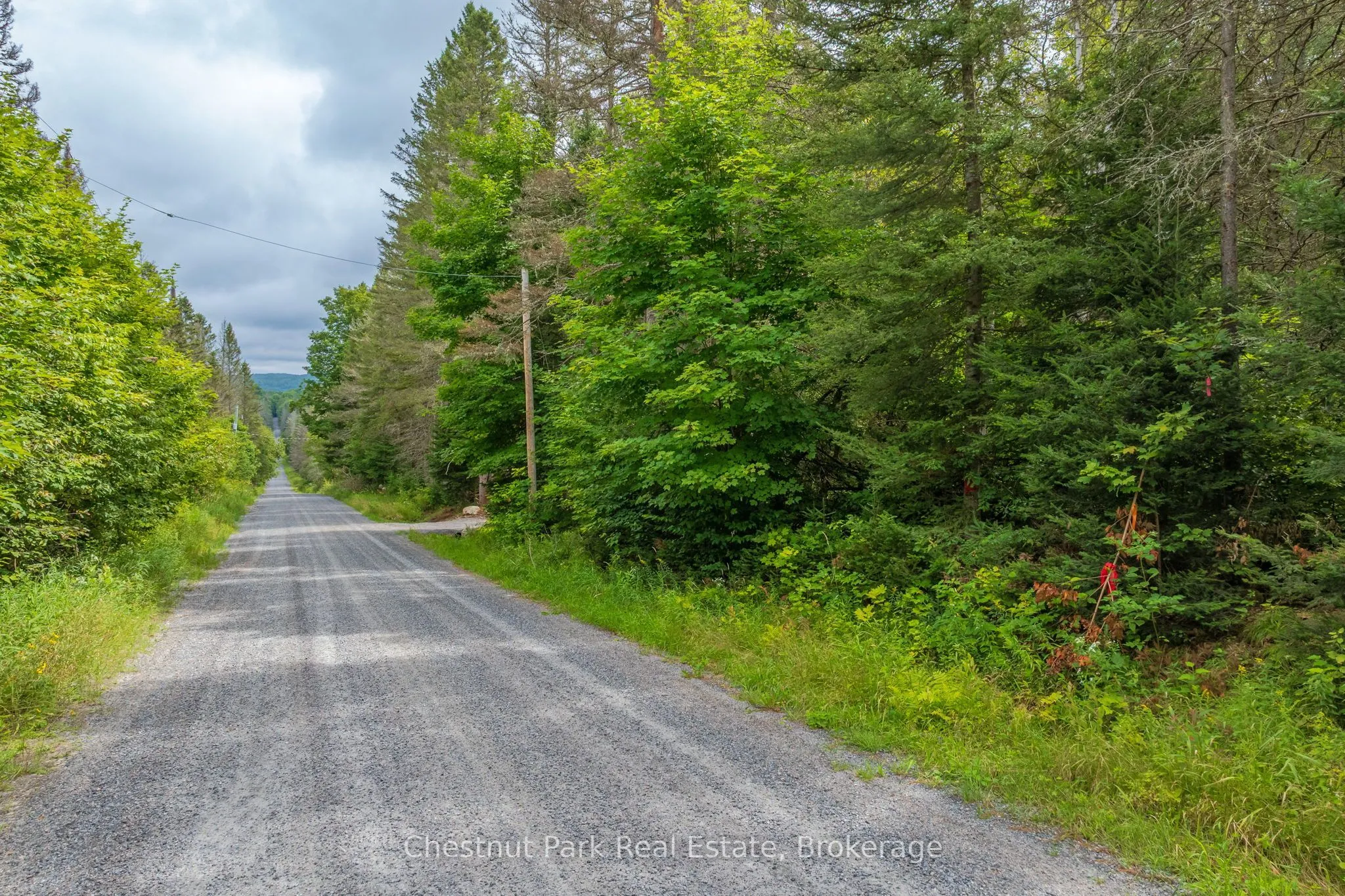 Vacant Land For Sale | X13737482