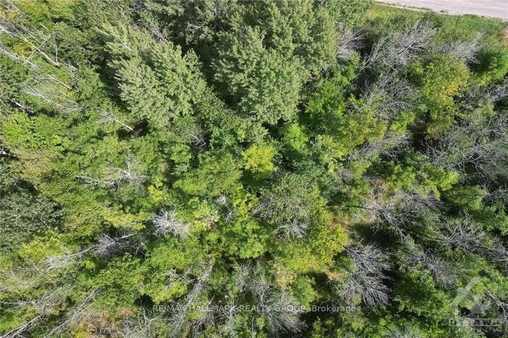 Vacant Land For Sale | X9515567