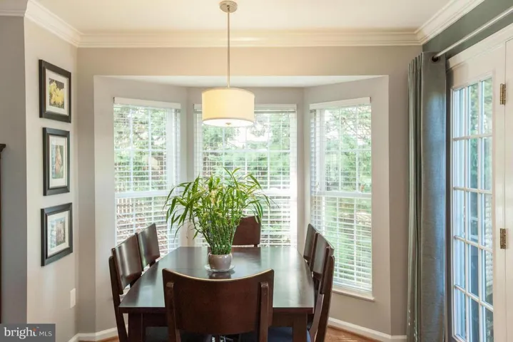 925 Rolfe Pl, Alexandria, Virginia 22314
