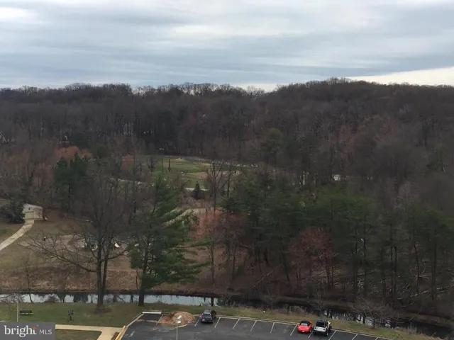 6641 Wakefield Dr #320, Alexandria, Virginia 22307