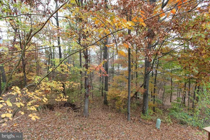 14160 Compton Valley Way, Centreville, Virginia 20121