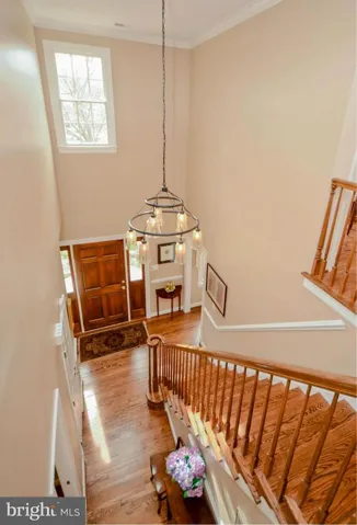 6210 Woodland Lake Dr, Alexandria, Virginia 22310