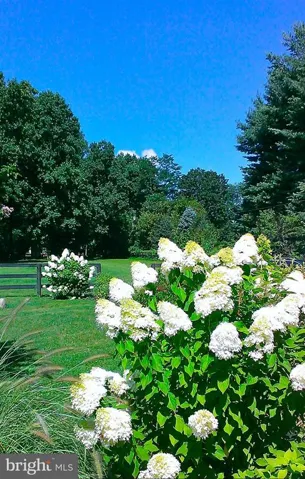 636 Walker Rd, Great Falls, Virginia 22066