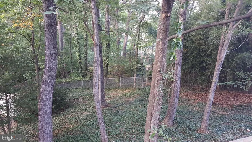 3924 Forest Grove Dr, Annandale, Virginia 22003