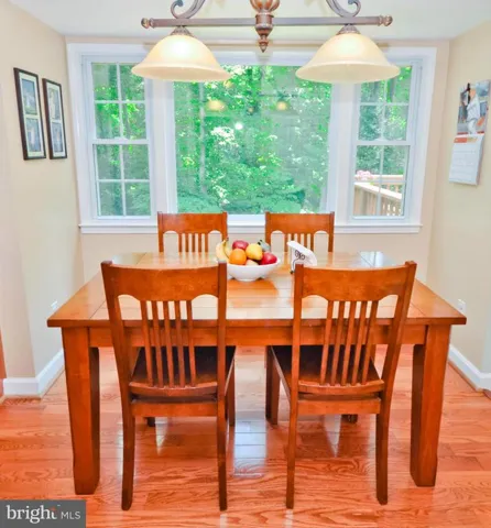 10154 Tapestry Ct, Fairfax, Virginia 22032
