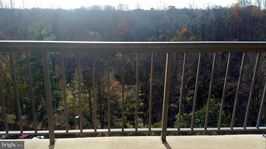 3800 Powell Ln #807, Falls Church, Virginia 22041