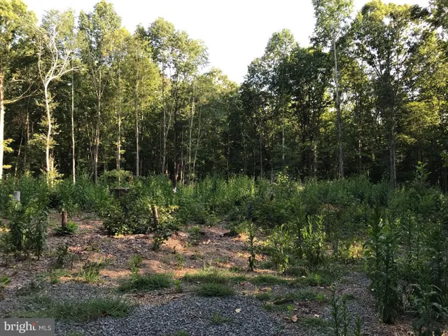 0 Trail Of Faith Ct, Locust Grove, Virginia 22508