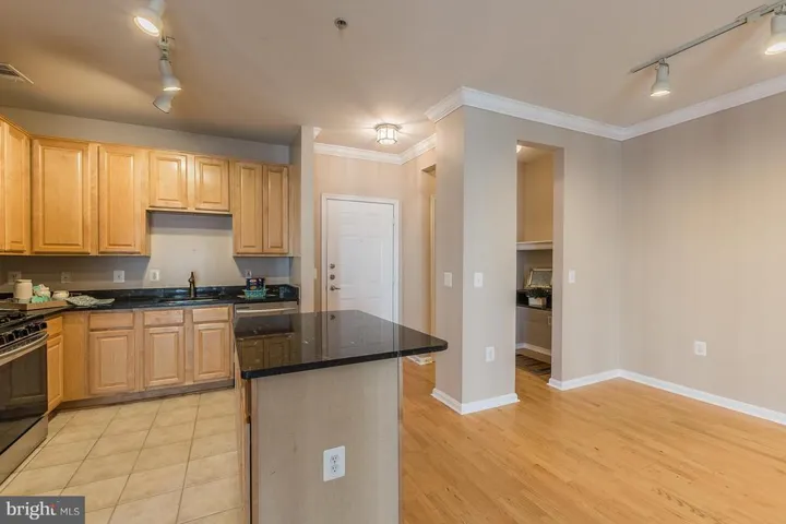 2791 Centerboro Dr #386, Vienna, Virginia 22181