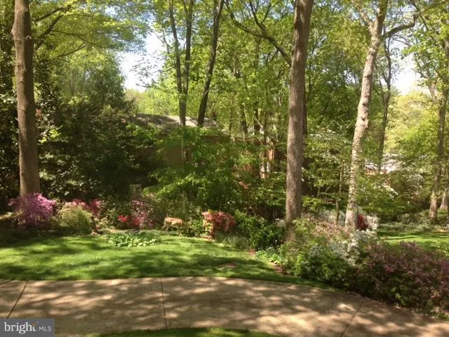 4006 Stafford St N, Arlington, Virginia 22207