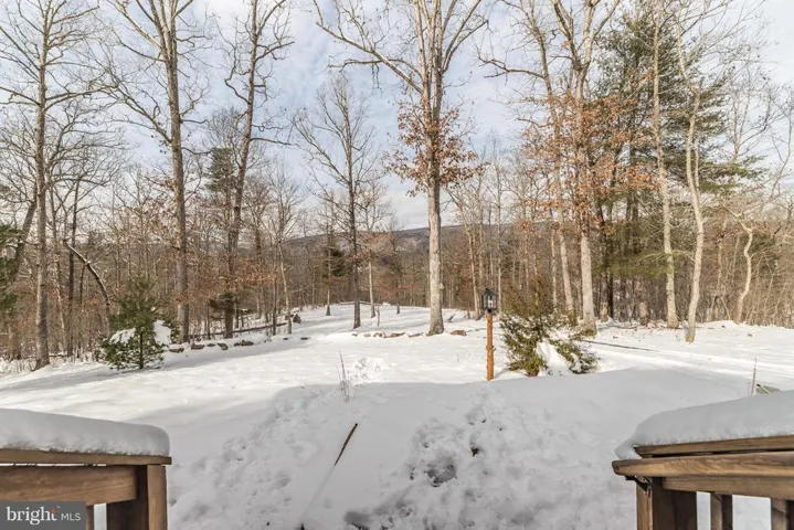 978 Spring Mountain Way, Fort Valley, Virginia 22652