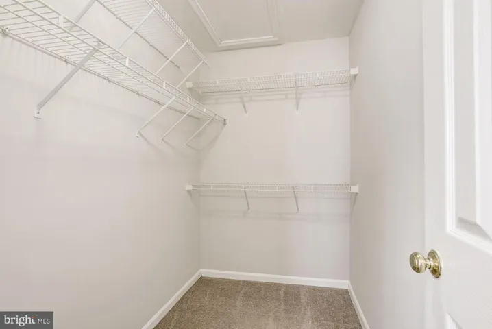 21000 Lemon Springs Ter, Ashburn, Virginia 20147