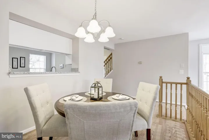 21000 Lemon Springs Ter, Ashburn, Virginia 20147
