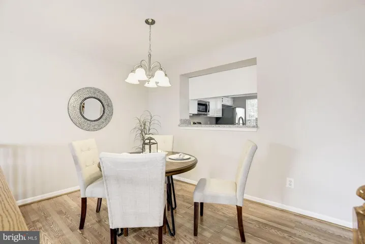 21000 Lemon Springs Ter, Ashburn, Virginia 20147