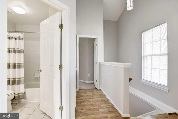 21000 Lemon Springs Ter, Ashburn, Virginia 20147
