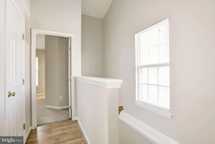 21000 Lemon Springs Ter, Ashburn, Virginia 20147