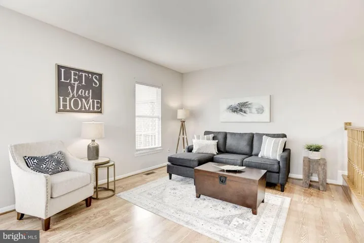 21000 Lemon Springs Ter, Ashburn, Virginia 20147