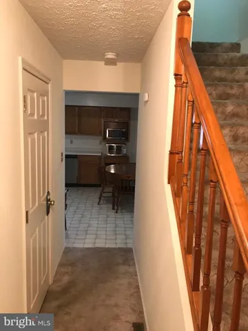260 Brookannleigh Dr, Gore, Virginia 22637