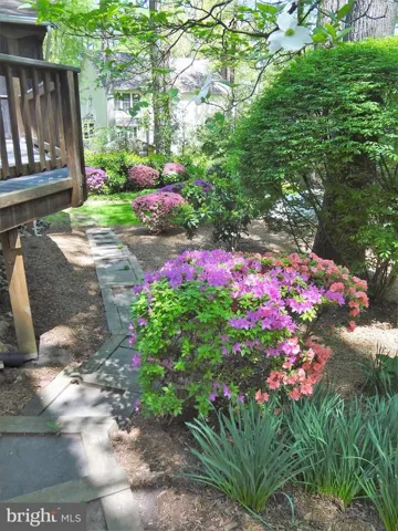 526 Poplar Dr, Falls Church, Virginia 22046