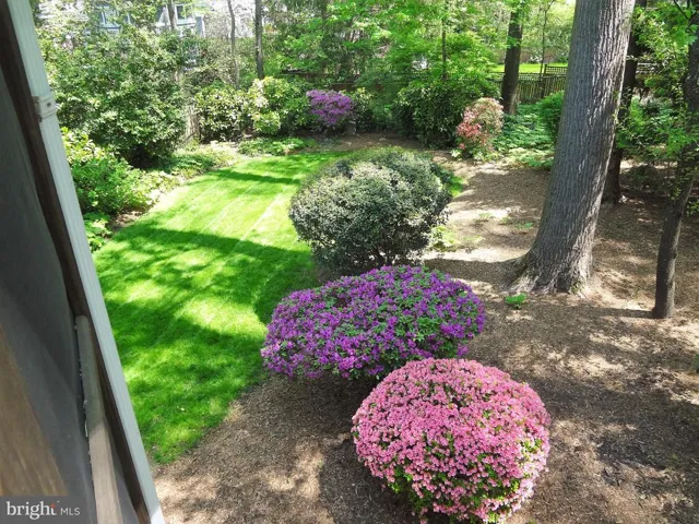 526 Poplar Dr, Falls Church, Virginia 22046