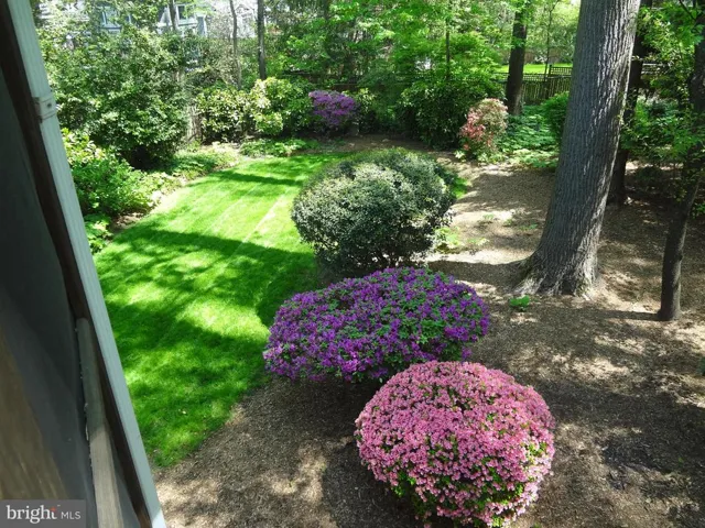526 Poplar Dr, Falls Church, Virginia 22046