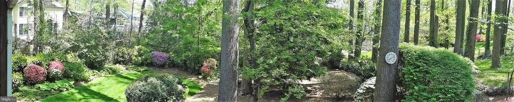 526 Poplar Dr, Falls Church, Virginia 22046