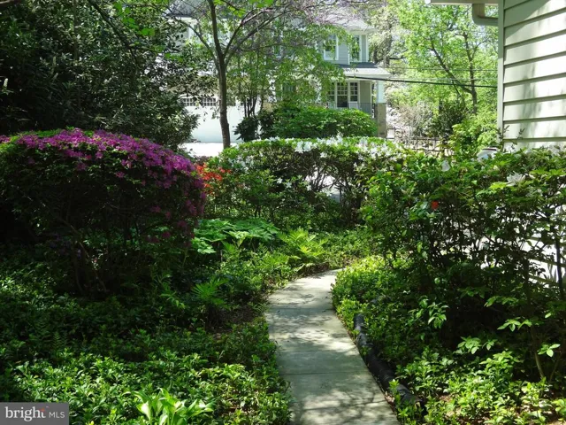 526 Poplar Dr, Falls Church, Virginia 22046