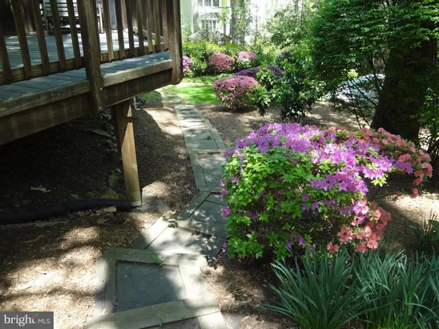 526 Poplar Dr, Falls Church, Virginia 22046