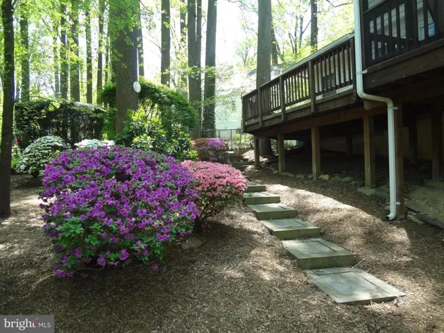 526 Poplar Dr, Falls Church, Virginia 22046