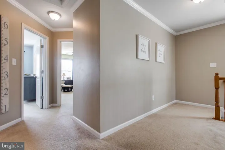 16828 Adrift Ct, Woodbridge, Virginia 22191