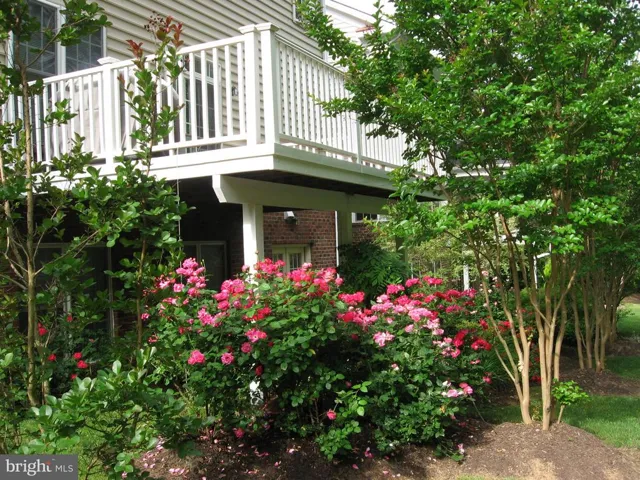 9198 Topaz St, Fairfax, Virginia 22031