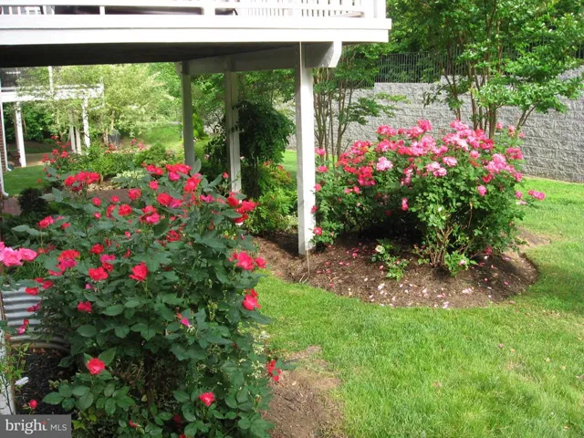 9198 Topaz St, Fairfax, Virginia 22031