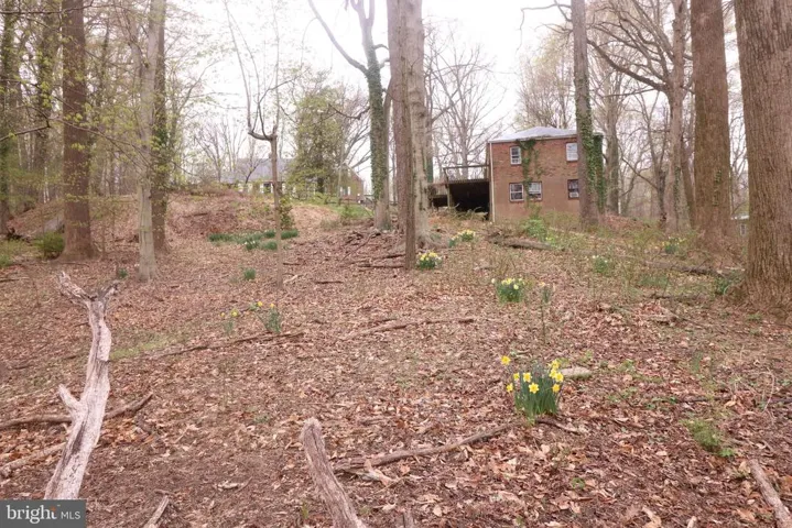 6116 Old Dominion, Mclean, Virginia 22101