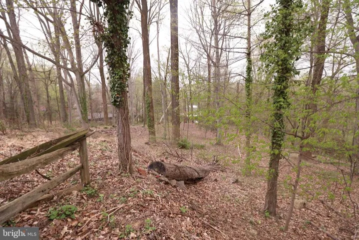 6116 Old Dominion, Mclean, Virginia 22101
