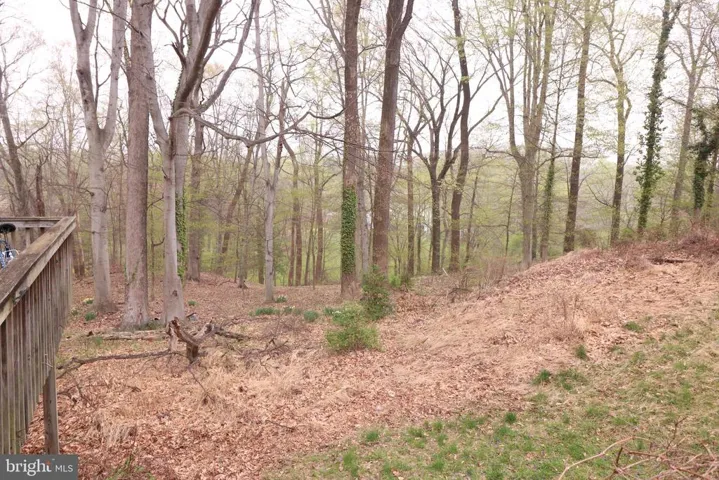 6116 Old Dominion, Mclean, Virginia 22101