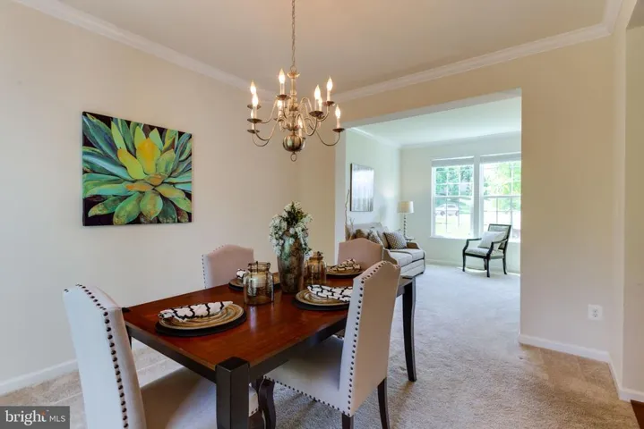 4613 Kling Dr. Dr, Alexandria, Virginia 22312