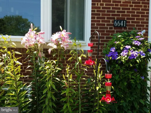 6641 Kirkley Ave, Mclean, Virginia 22101