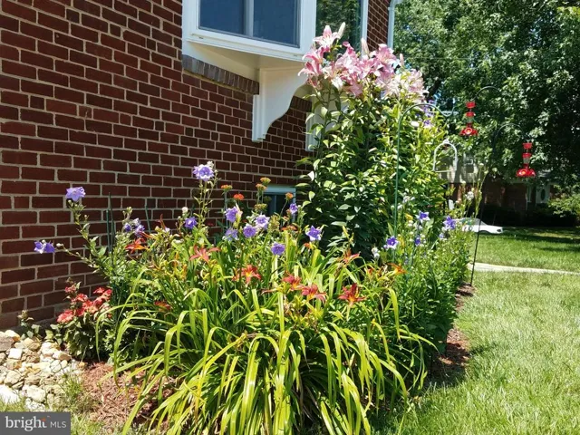 6641 Kirkley Ave, Mclean, Virginia 22101