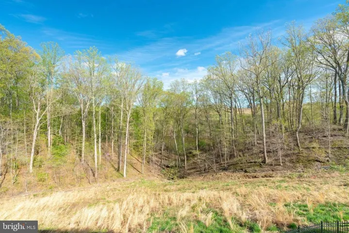 17123 Belle Isle Dr, Dumfries, Virginia 22026