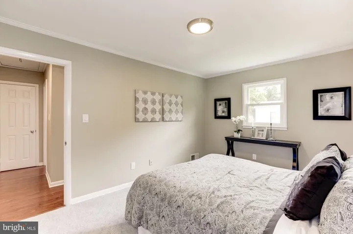 1719 Olney Rd, Falls Church, Virginia 22043