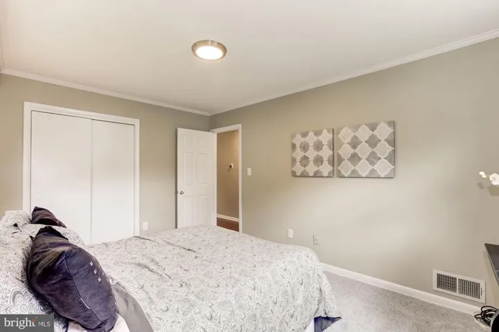1719 Olney Rd, Falls Church, Virginia 22043
