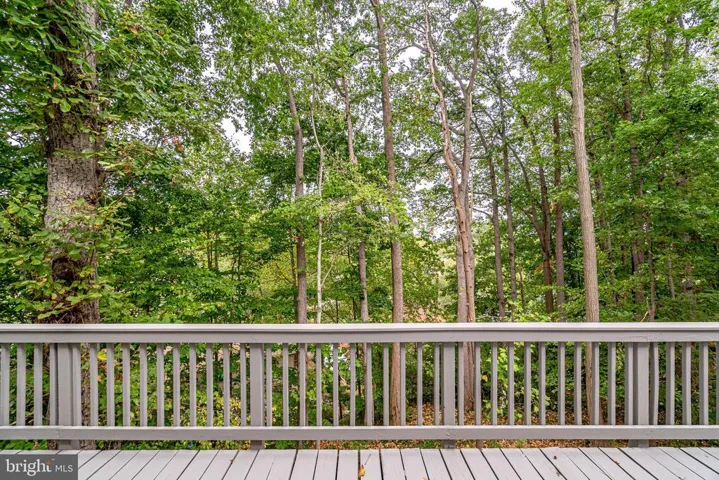 4301 Bushie Ct, Alexandria, Virginia 22312