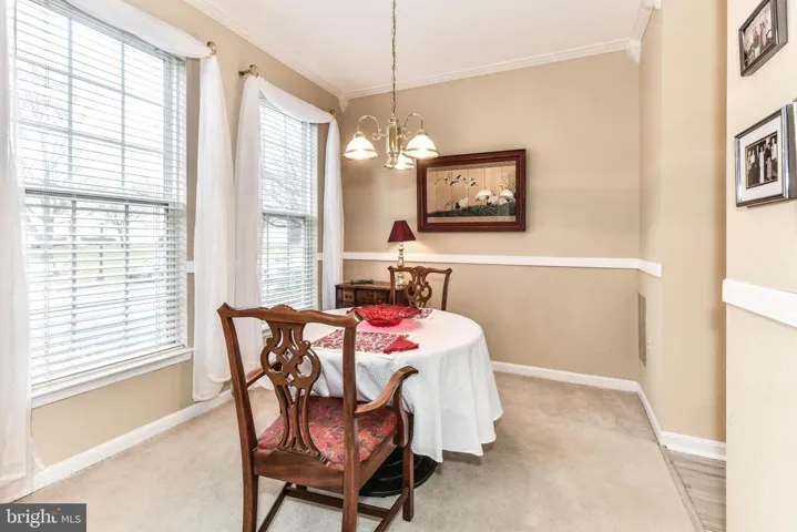 17308 Cedar Bluff Ct, Round Hill, Virginia 20141