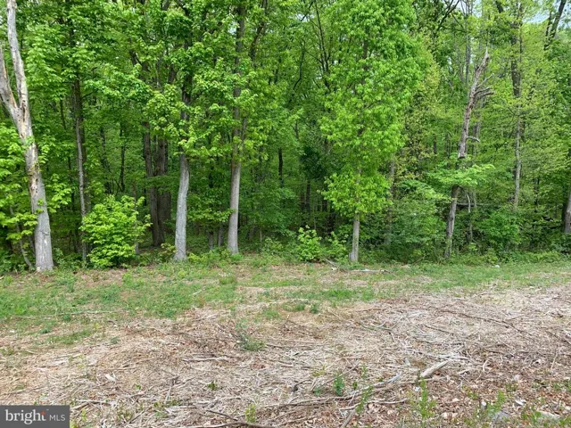 6701 Us Highway 340, Rileyville, Virginia 22650