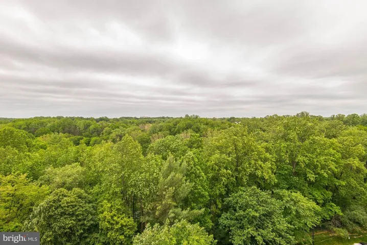 3800 Powell Ln #1125, Falls Church, Virginia 22041