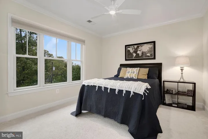 5659 Glenwood Dr, Alexandria, Virginia 22310