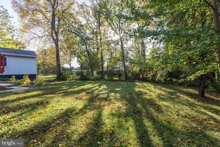 7039 Calamo St, Springfield, Virginia 22150