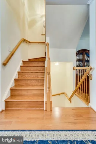 6328 Dunman Way, Alexandria, Virginia 22315