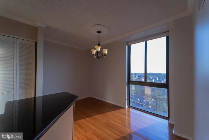 2311 Pimmit Dr #1103, Falls Church, Virginia 22043